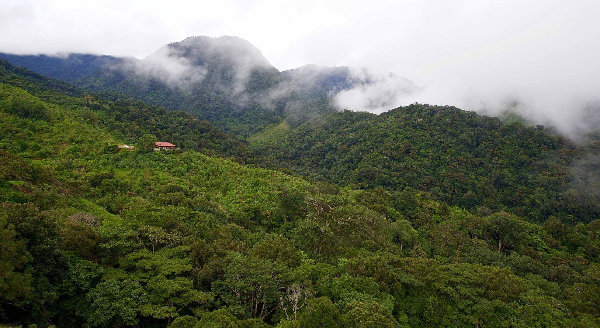 Ein Traumplatz für Naturfotografen, Mt.Totumas Cloud Forest Eco Lodge