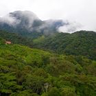 Ein Traumplatz für Naturfotografen, Mt.Totumas Cloud Forest Eco Lodge