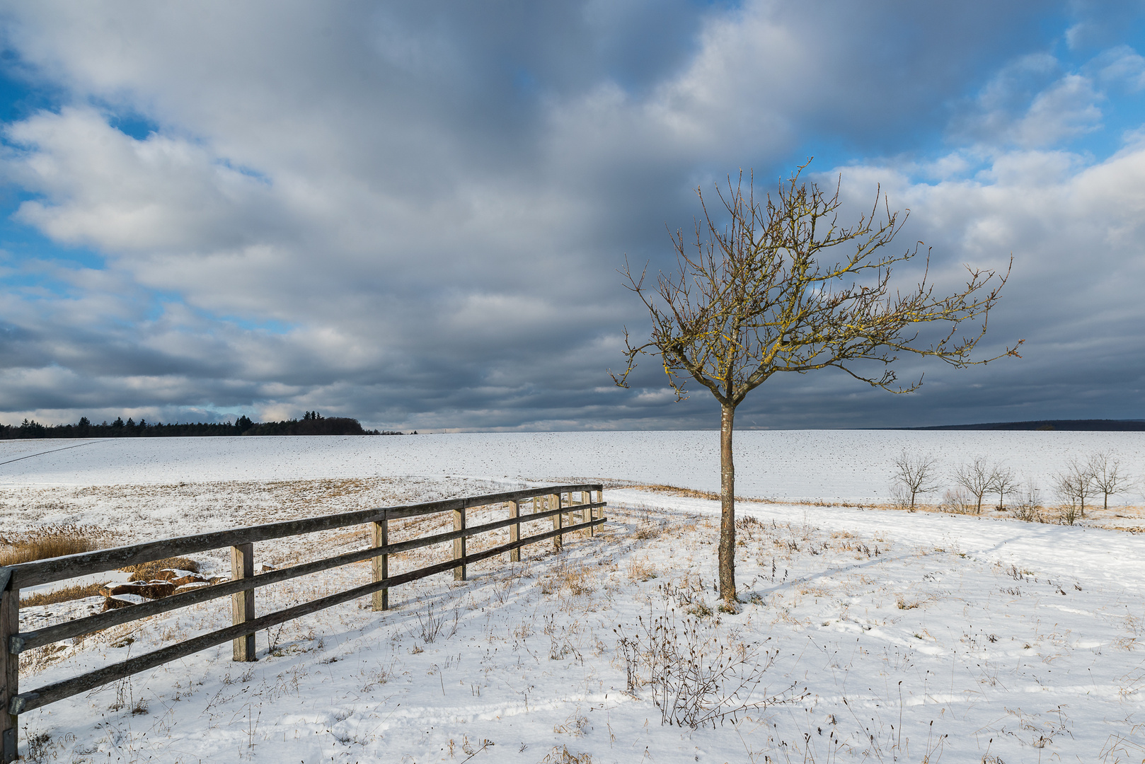 ein Traumtag im Winter