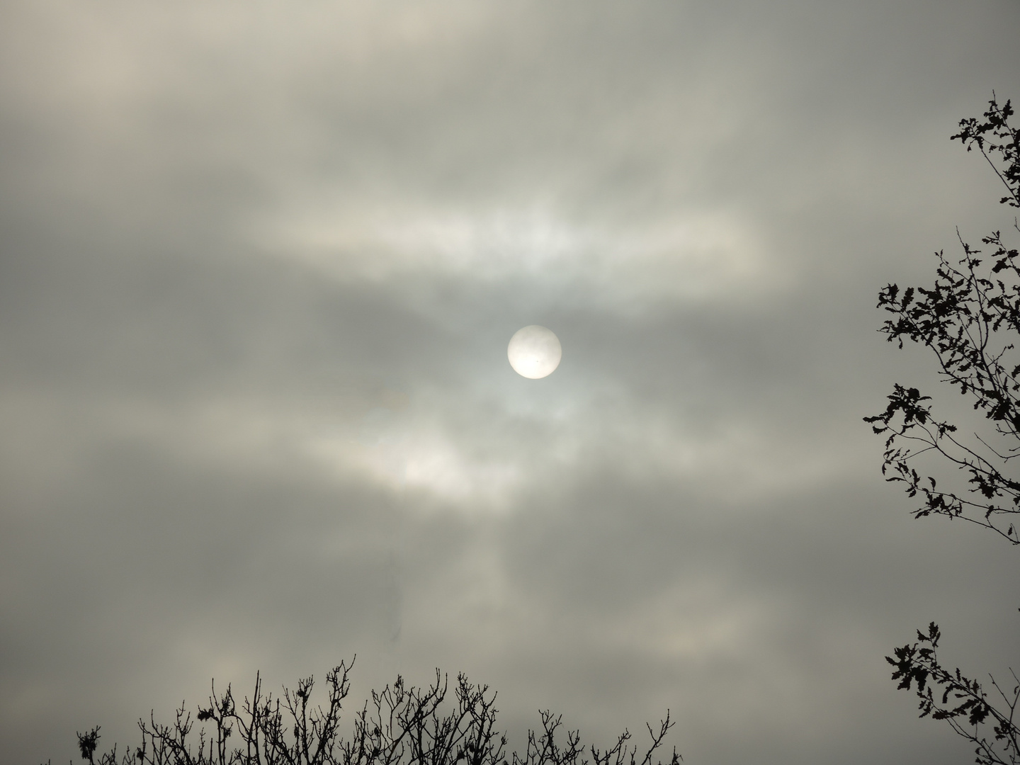 Ein trauriger Anblick - Die Sonne ist zu schwach, um die grauen Wolken zu vertreiben