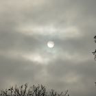 Ein trauriger Anblick - Die Sonne ist zu schwach, um die grauen Wolken zu vertreiben