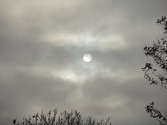 Ein trauriger Anblick - Die Sonne ist zu schwach, um die grauen Wolken zu vertreiben