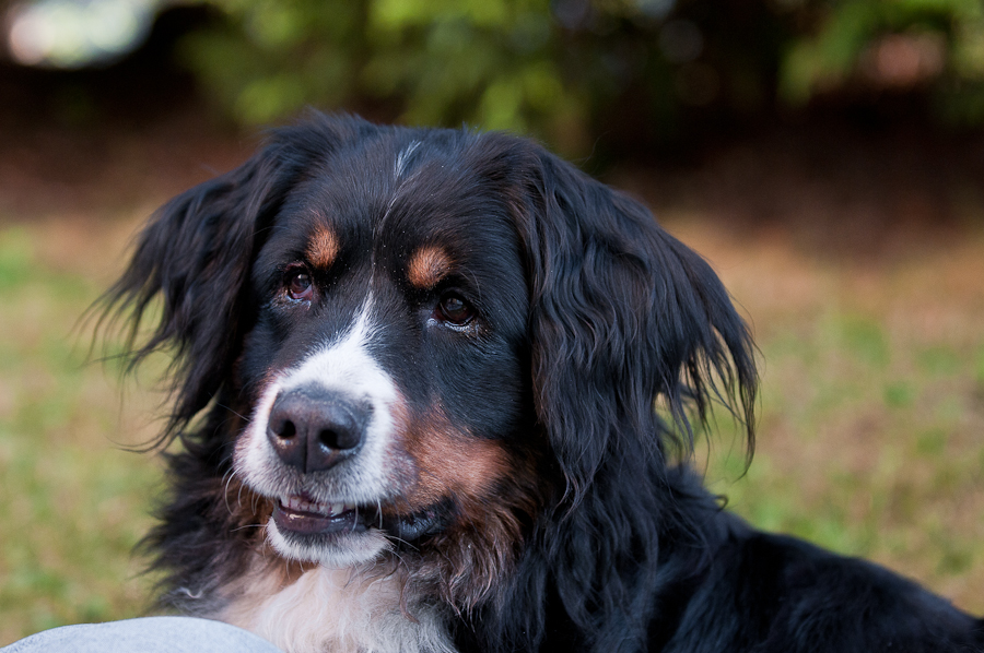 Ein trauriger Blick