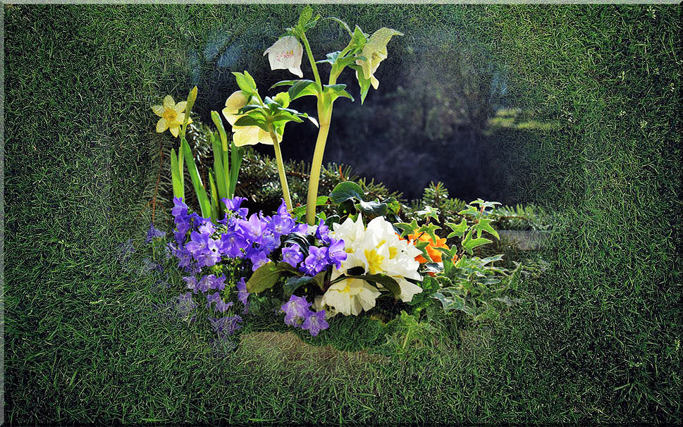 Ein trauriger Tag. Foto & Bild trauer, trauer ein gefühl in