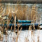 Ein Tretboot in Seenot