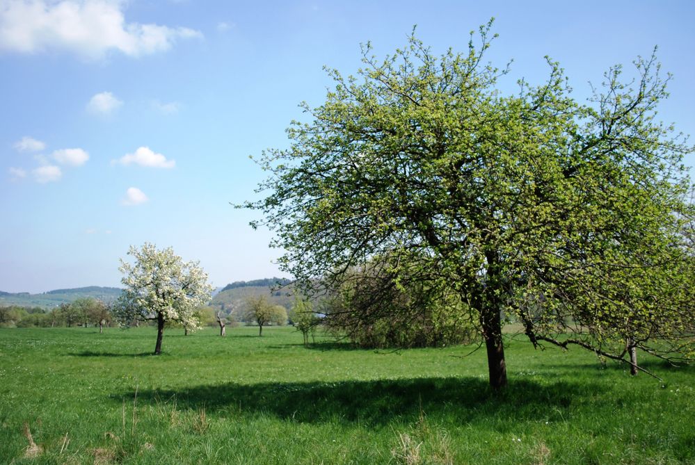 Ein Trostfoto für Novembermuffel