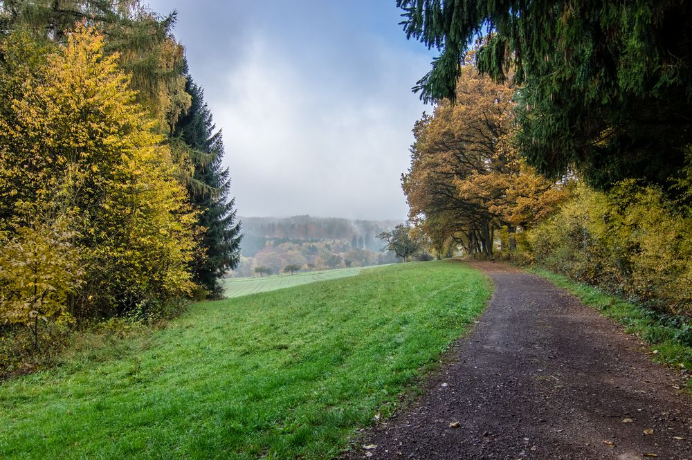 Ein trüber Herbsttag