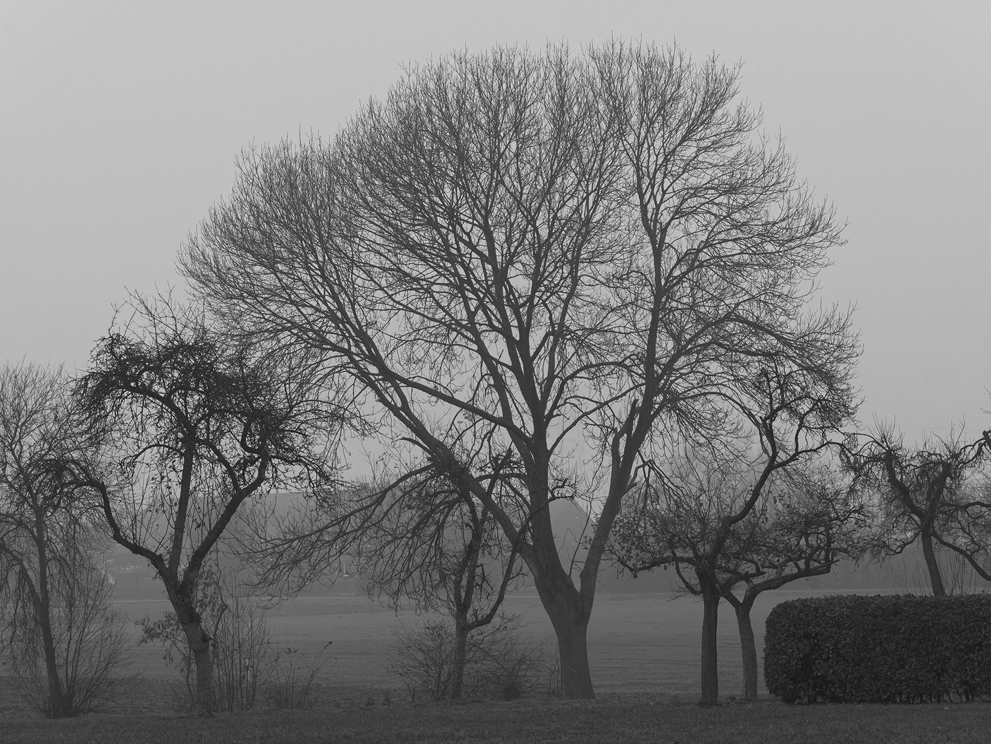 Ein trüber November-Nachmittag im südlichen Münsterland bei Ahlen