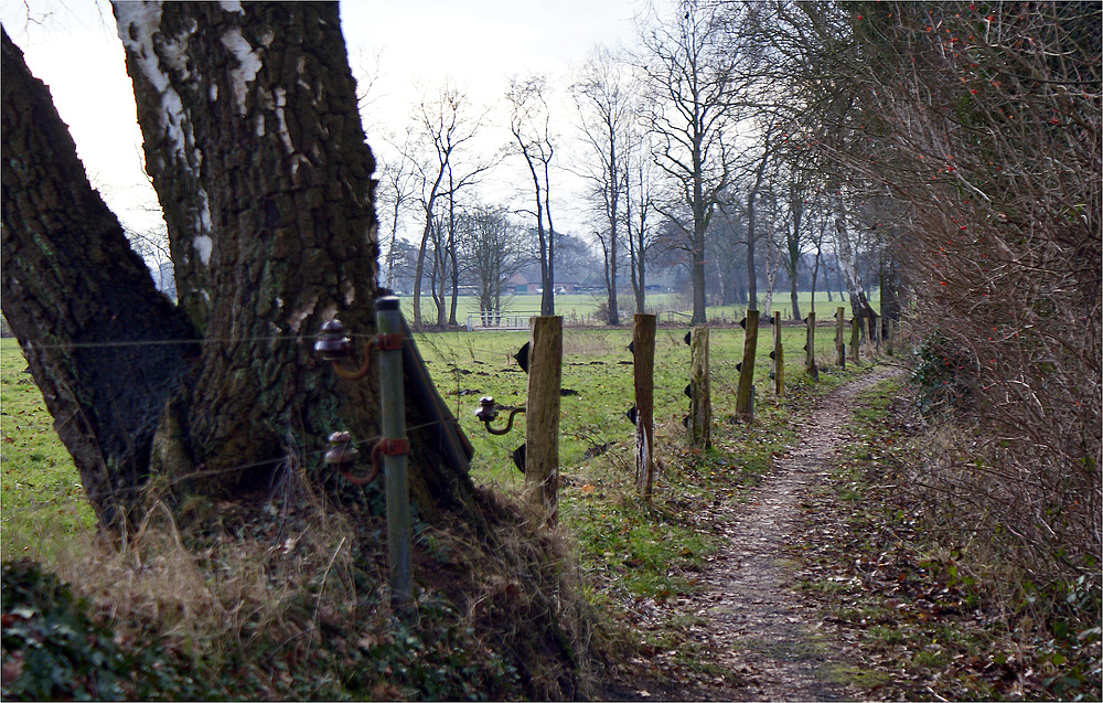 Ein trüber Tag im Januar