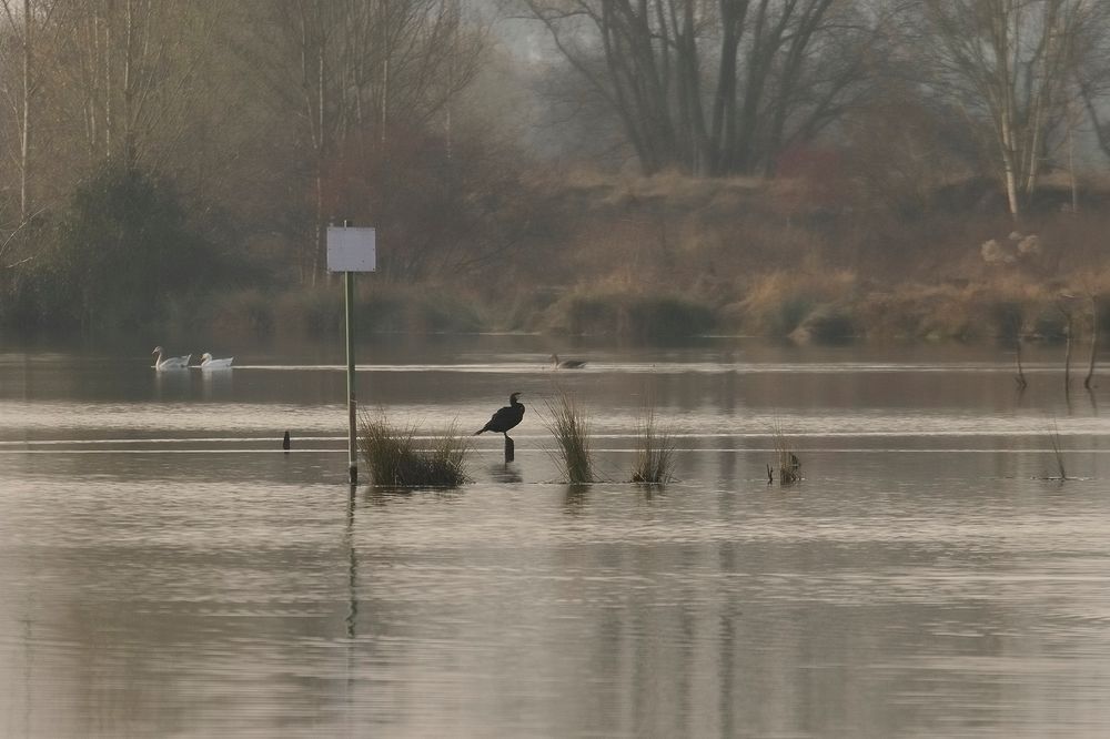 Ein trüber Tag im November