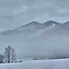 Ein trüber Tag in den Alpen