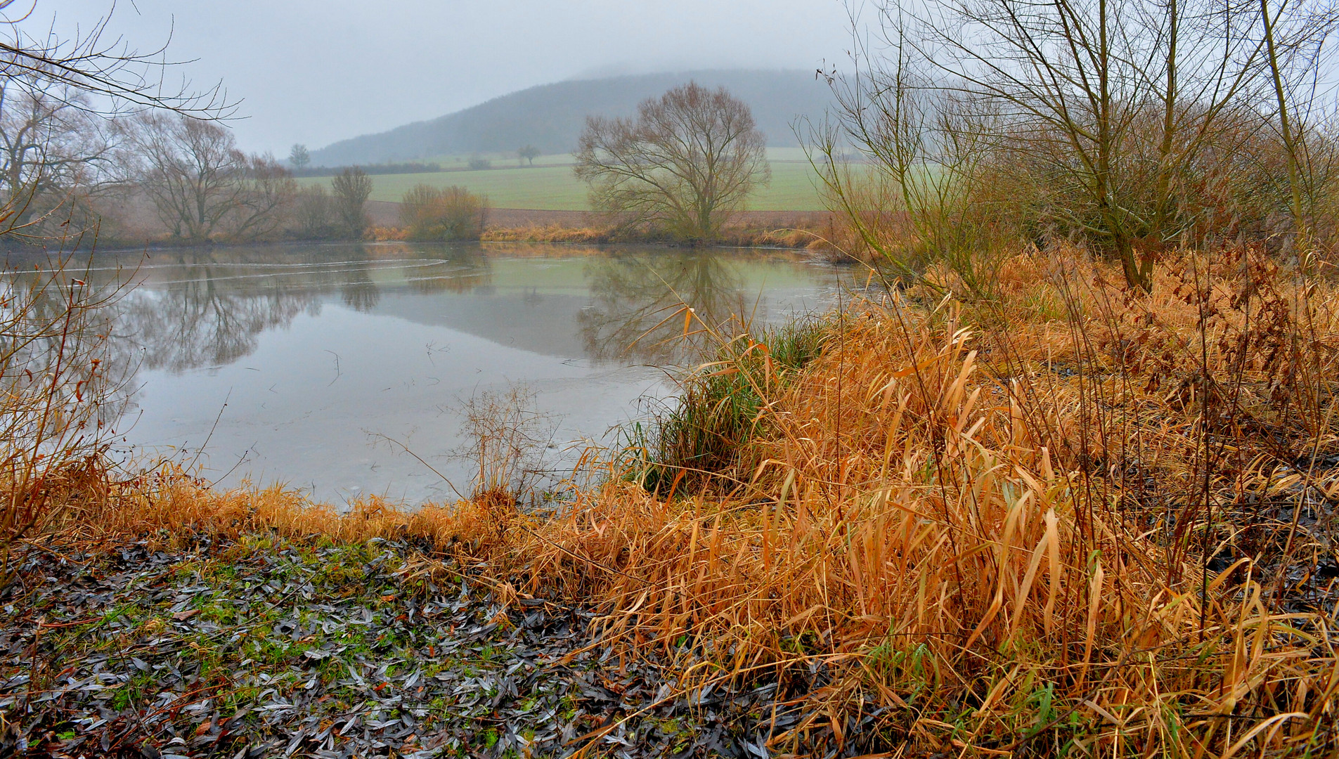 ein trüber Tag (un día nublado) Foto & Bild landschaft, bach, fluss