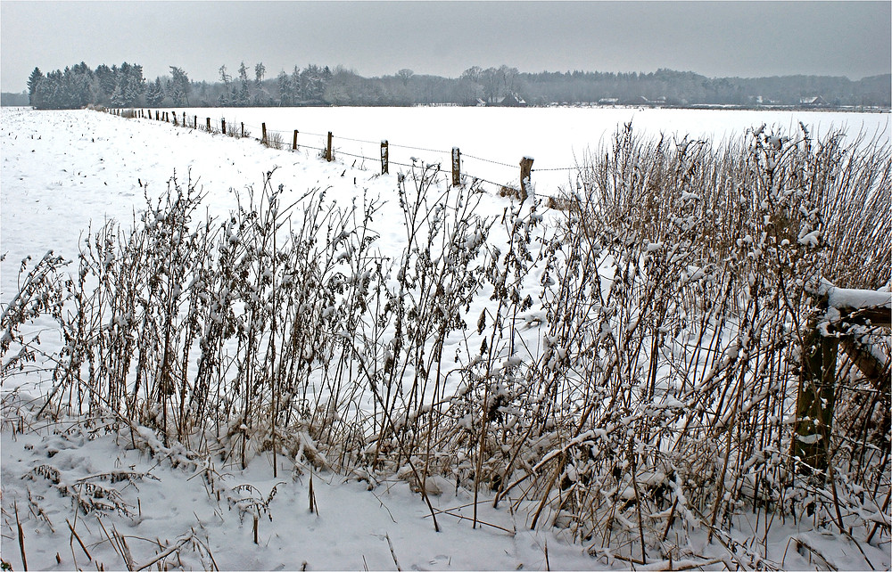 Ein trüber Wintertag