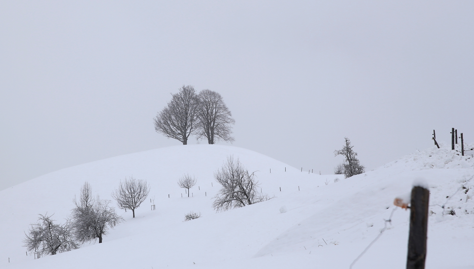 Ein trüber Wintertag