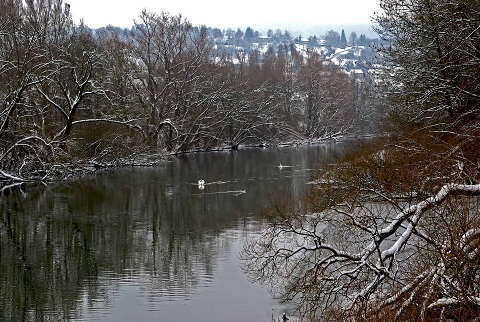 Ein trüber Wintertag am alten Neckar in Esslingen