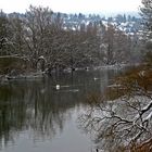 Ein trüber Wintertag am alten Neckar in Esslingen