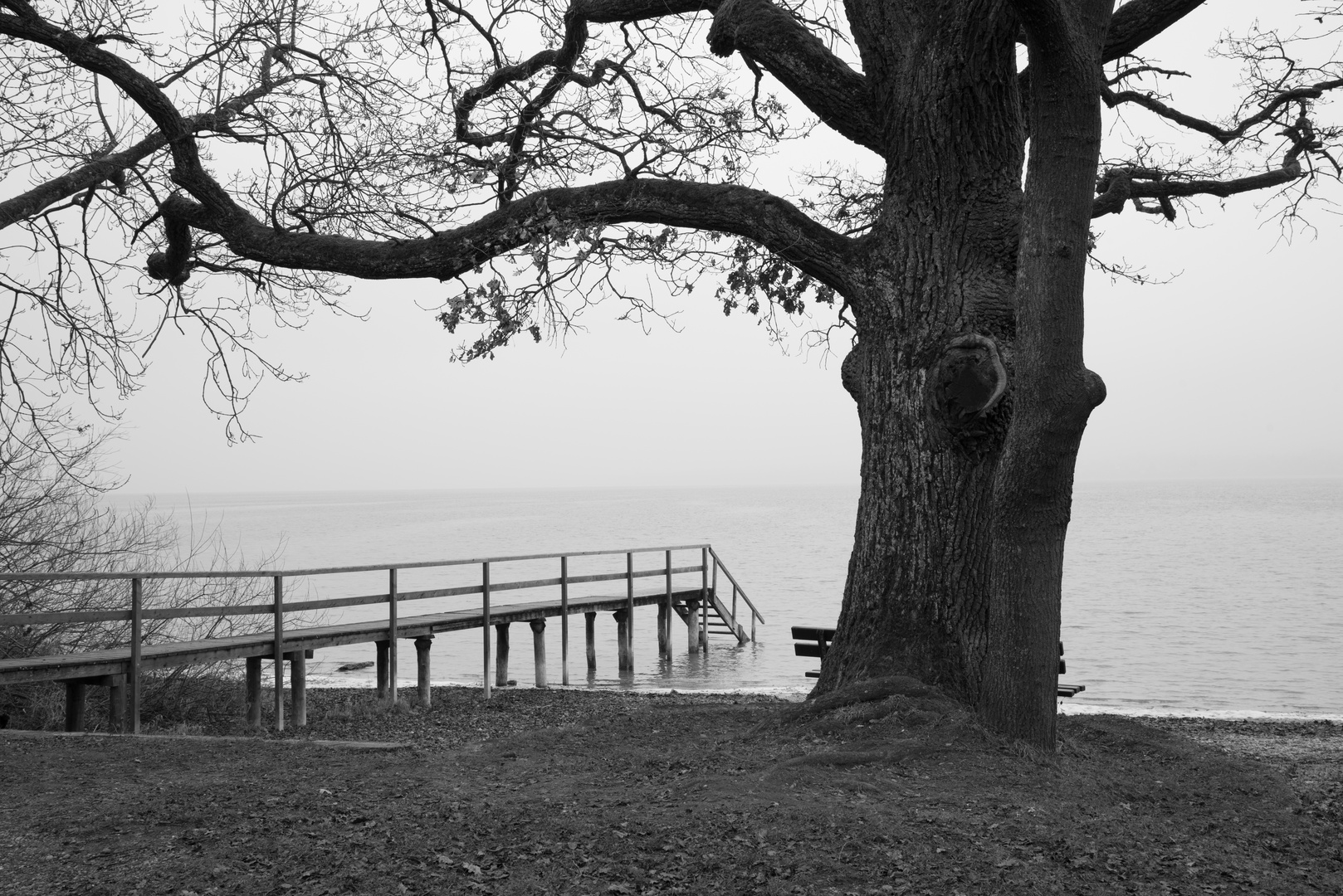 Ein trüber Wintertag am See