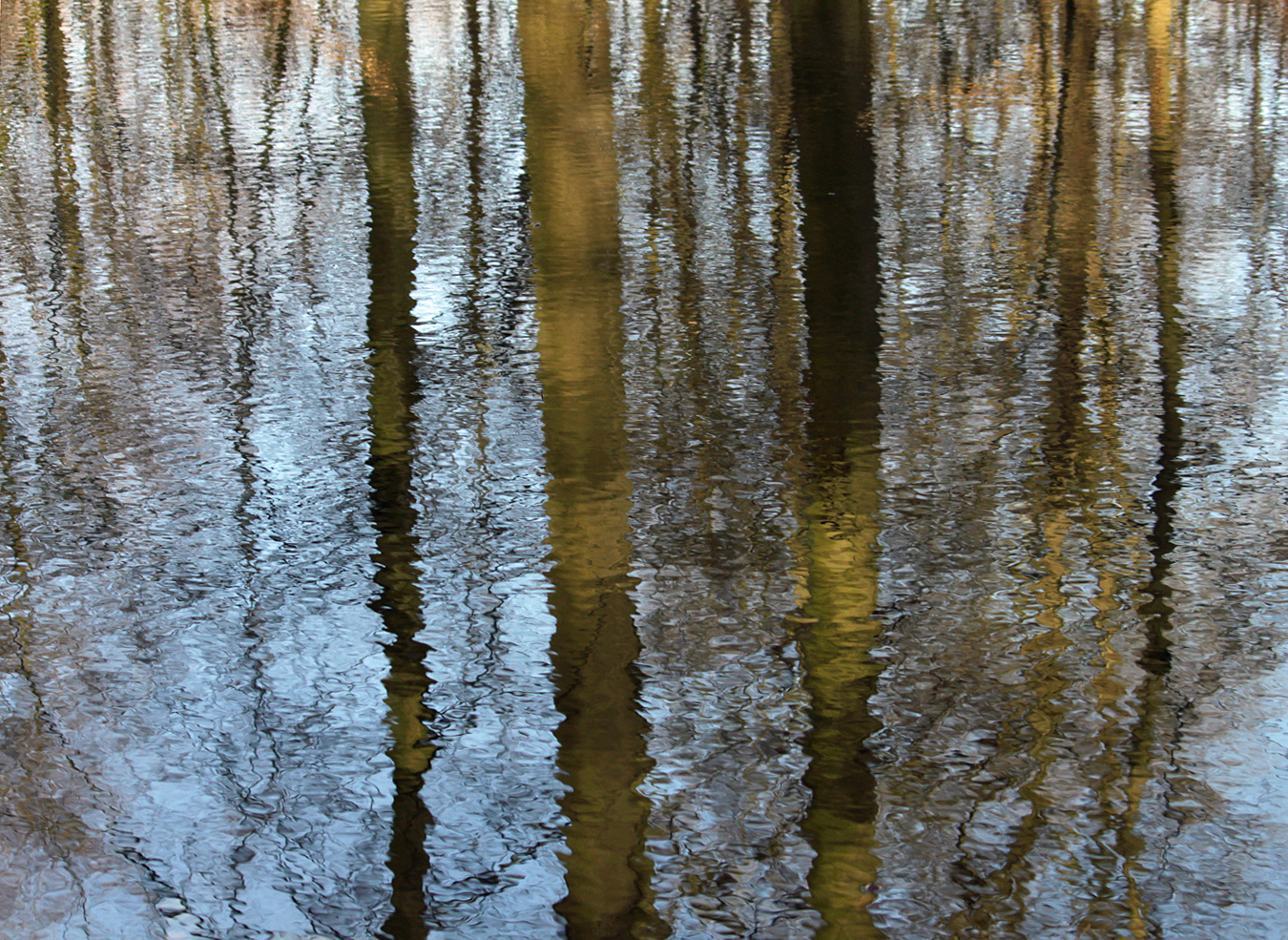 Ein Tümpel im Wald