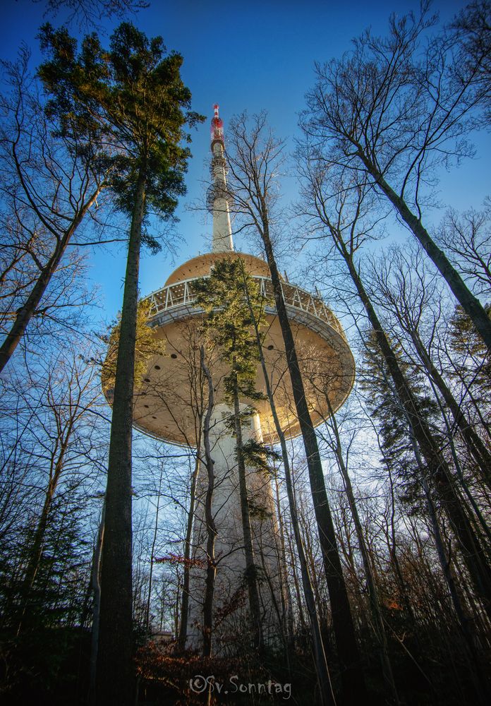 Ein Turm Steht im Walde