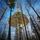 Ein Turm Steht im Walde