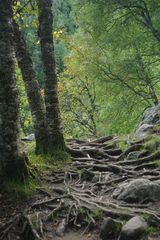 Ein typisch norwegischer Wanderweg