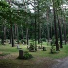 ein typisches Bild auf dem Heidefriedhof in Dresden