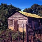 Ein typisches Holzhaus auf dem Land in der Dominikanischen Republik