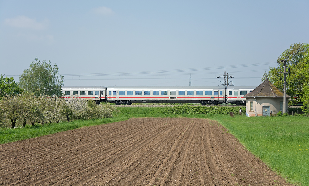 Ein Überbleibsel aus dem Frühling