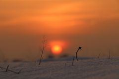 Ein Ufo im Pietzmoor