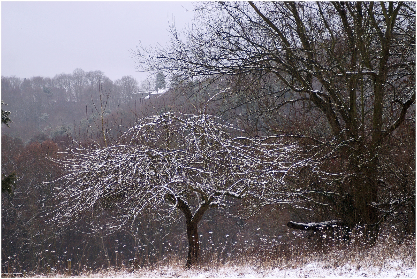 ... ein unbeschriebenes Blatt ... 