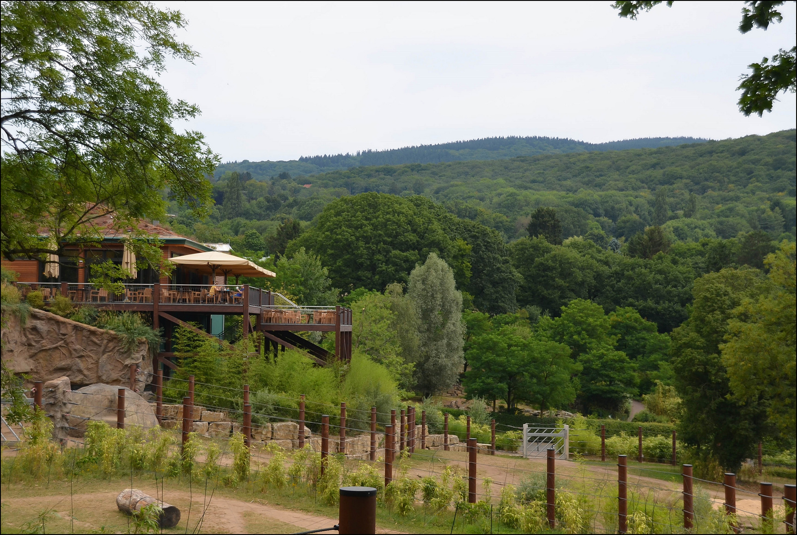 Ein- und Ausblick in den Opel-Zoo