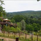 Ein- und Ausblick in den Opel-Zoo