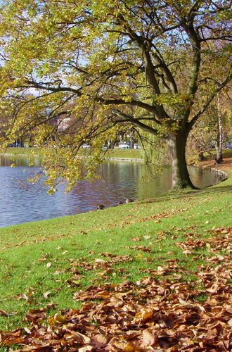 Ein ungewöhnlich sonniger Herbsttag