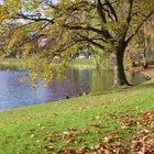 Ein ungewöhnlich sonniger Herbsttag