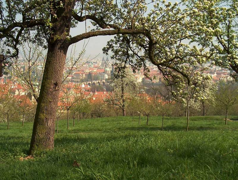 ein ungewöhnlicher Blick auf die Karlsbrücke