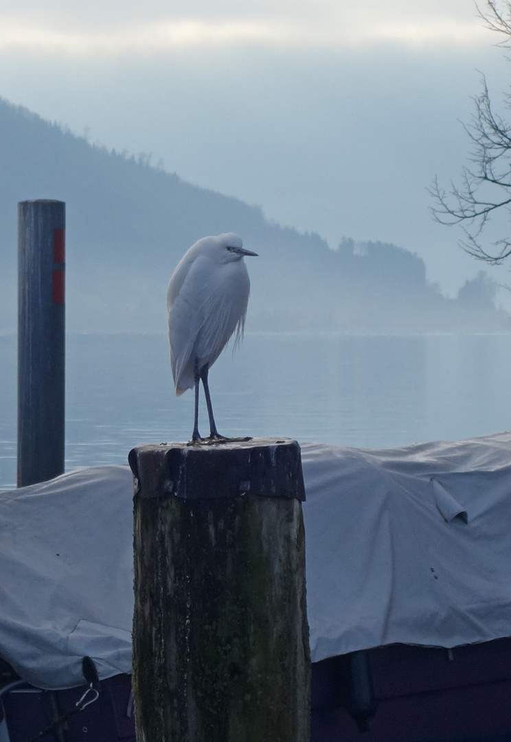 Ein ungewohnter Anblick