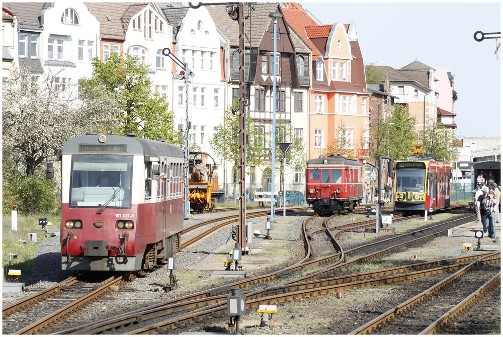 Ein ungleiches Trio...