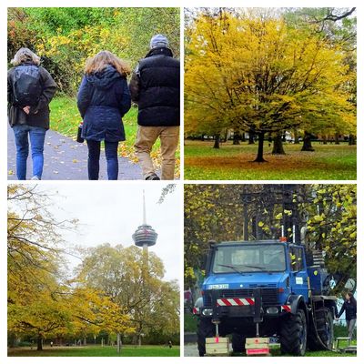 Ein Unimog im Mediapark