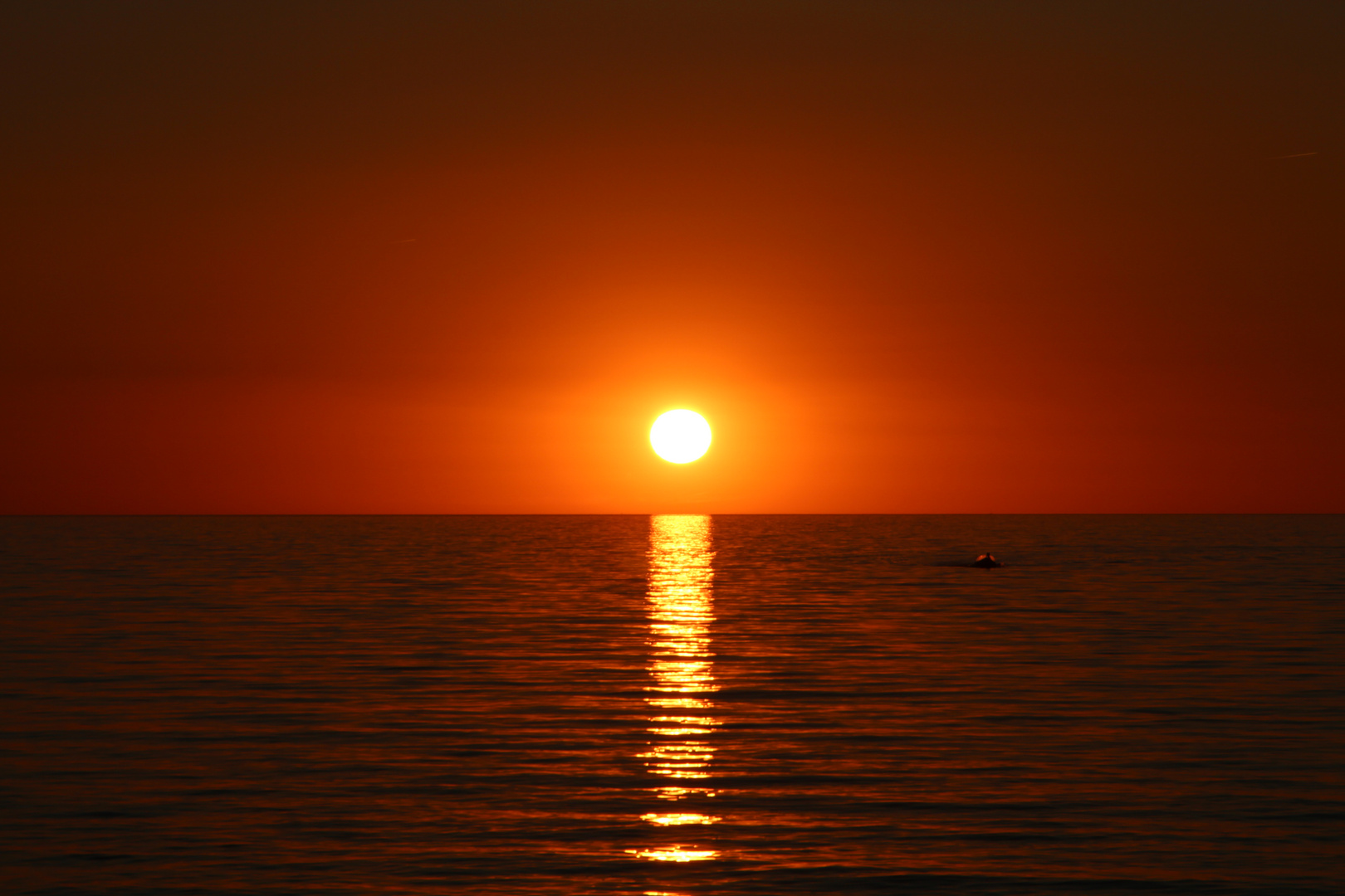 Ein untergang an der ostsee