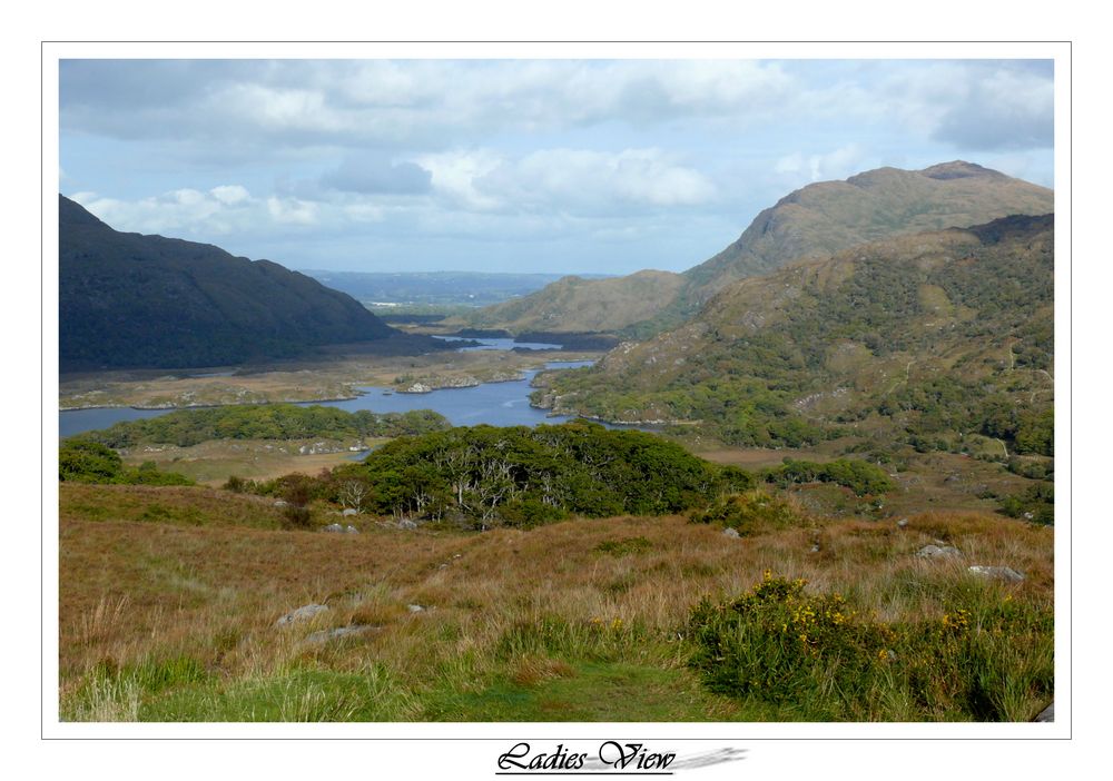 Ein unverbaubarer Ausblick (Ladies View  ,Ireland)