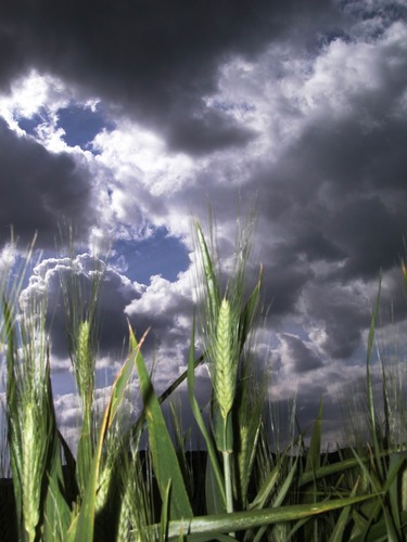 Ein Unwetter naht