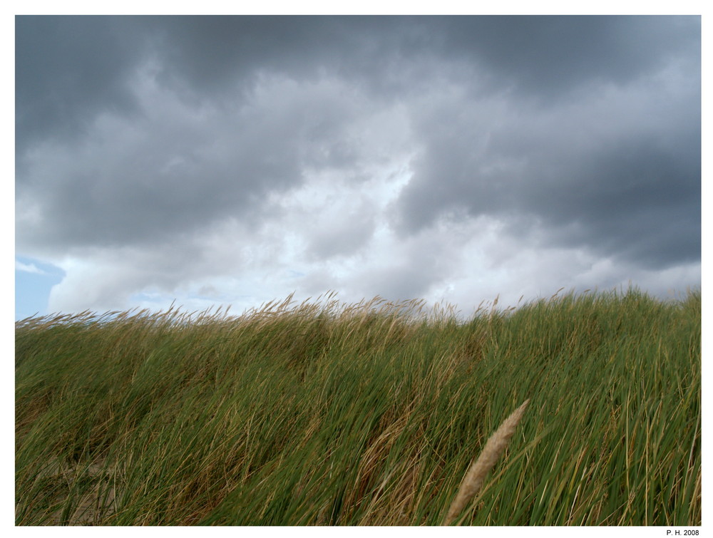 Ein Unwetter naht