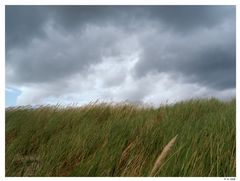 Ein Unwetter naht