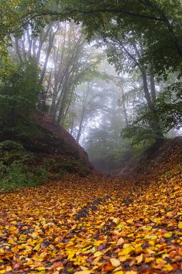 Ein usseliger Tag 2 - Vorversion