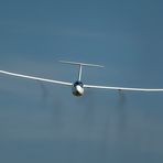 Ein Ventus beim schnellen Endanflug
