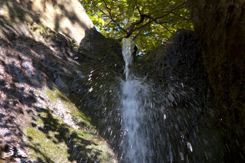 Ein Vergnügen