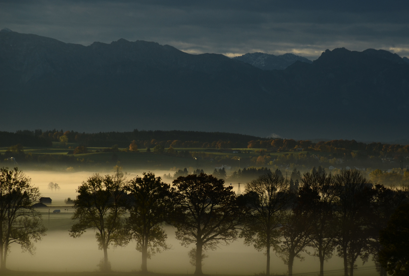 ein vernebelter Morgen im Allgäu