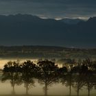 ein vernebelter Morgen im Allgäu