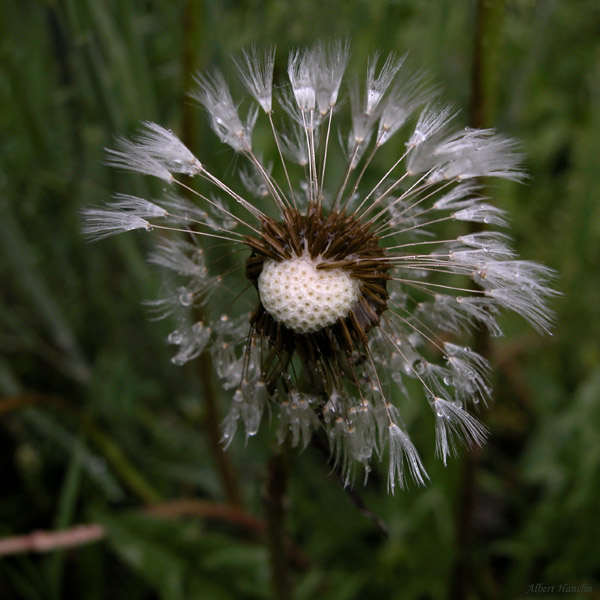 Ein verregnetes Wochenende . . .