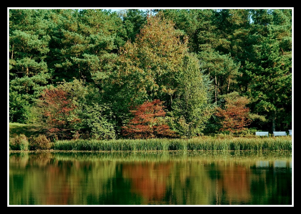 ---ein verspätetes Herbstfoto--